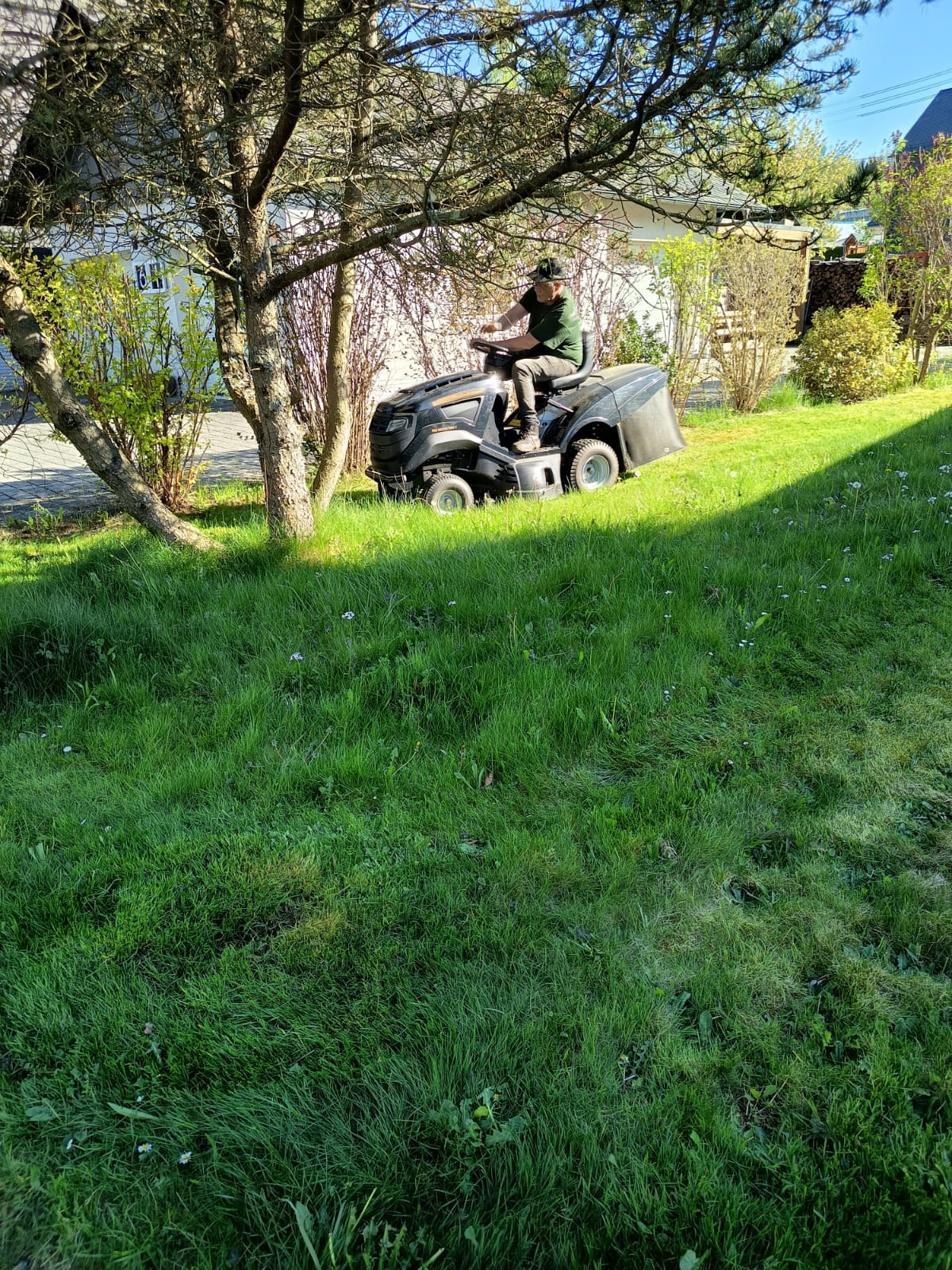 Mäharbeiten